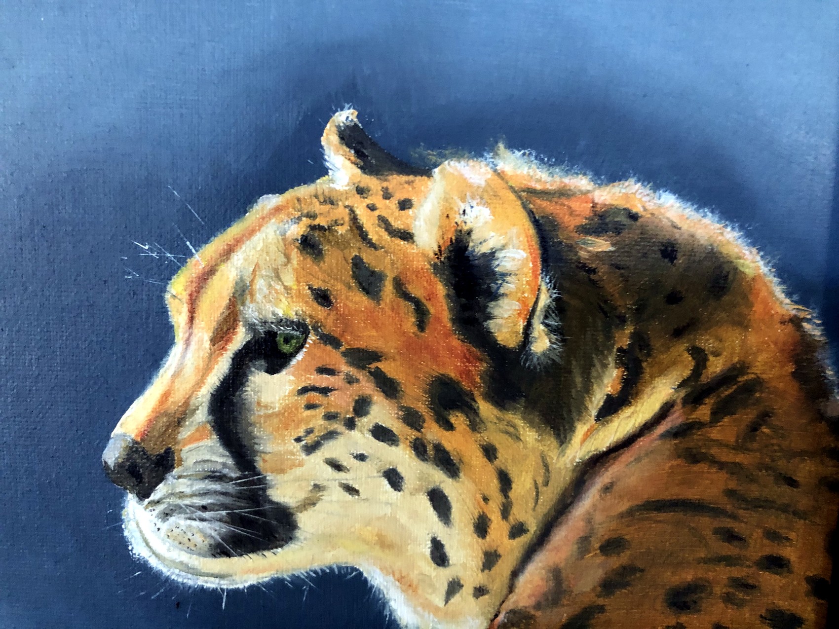 Leopard Profile oil painting of a leopard in profile by Lenore Kieseling